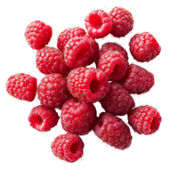 Fresh raspberries piled on a clean transparent background, showcasing their vibrant color and natural texture, raspberries on transparent background png