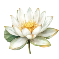 A stunning transparent lotus flower with yellow center blooming against a clean transparent background in serene simplicity, lotus flower on transparent background png