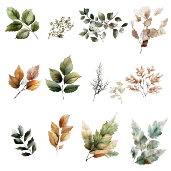 a elegante coleção do aguarela folhas em uma transparente fundo exibindo natural beleza e diversidade, deslumbrante natural elementos em transparente fundo ou transparente fundo com png