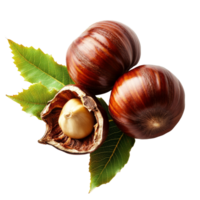 Freshly harvested chestnuts with their shells and leaves on a transparent background showcasing natural textures and colors, Chestnuts on transparent background png