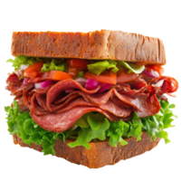An appetizing pastrami sandwich layered with fresh salad and vegetables, perfect for a satisfying meal, appetizing pastrami sandwich with salad png