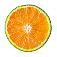 Bright green and orange tangerine slice displayed on a clean transparent background for food photography enthusiasts, green orange tangerine slice on transparent background png