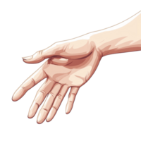 A female hand demonstrating gestures with a transparent palm and fingers against a plain background, Female hand showing gestures. transparent palm, arm, fingers in various signs. Concept isolated icon. png