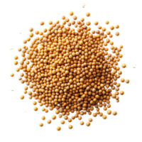 Mustard seeds scattered on a clean transparent background showcasing their vibrant yellow color and round shape, mustard seeds isolated on transparent background png
