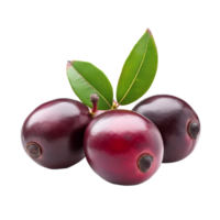 Fresh carunda fruits with green leaves displayed on a transparent background emphasizing their glossy texture and vibrant color, Carunda or Karonda fruits isolated on transparent background png