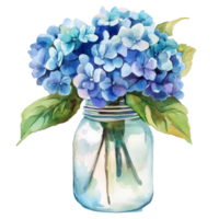 Beautiful watercolor hydrangeas in a jar, showcasing vibrant blues and greens for a fresh floral decor, hydrangea flowers in a jar isolated on a transparent background. hydrangea flower transparent background png