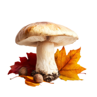 A beautiful mushroom surrounded by colorful autumn leaves on a bright transparent background, mushroom with autumn leaves transparent background png
