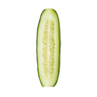 Freshly sliced striped cucumber resting on a clean transparent background, showcasing its vibrant interior and texture, slice striped cucumber on transparent background png