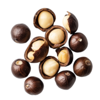 Fresh macadamia nuts displayed on a clean transparent background showcasing their rich textures and colors, macadamia on transparent background png
