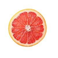 Half a fresh grapefruit with vibrant red flesh on a clean transparent background, showcasing its juicy texture and color, half grapefruit on transparent background png