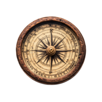 Explore the unique design of the WarzenSpindelstrauch on a crisp transparent background, WarzenSpindelstrauch on transparent background png