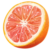 Fresh half of a pink grapefruit with a slice displayed on a bright transparent background, half pink orange or grapefruit with slice on transparent background png