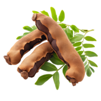 Tamarind pods with green leaves isolated on a transparent background showcasing their natural beauty and texture, tamarind with leaf isolated on transparent background png