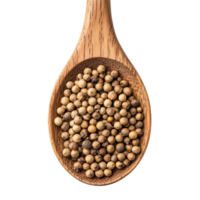 Coriander seeds resting in a wooden spoon set against a clean transparent background with tones, Coriander seeds in wood spoon on transparent background png