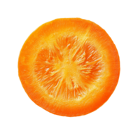 Fresh carrot slice isolated on a clean transparent background showcasing vivid orange color and texture, Carrot slice top view isolated on transparent background png