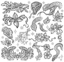 Hand drawn design set with line art illustrations of the snake - symbol of the year according to eastern horoscope, vicotrian patterns and flowers. Doodle artworks with esoteric and mystic concept vector