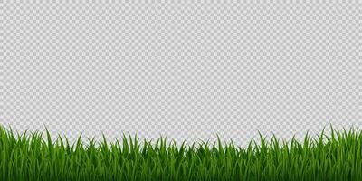 Realistic grass meadow, 3d frame or border vector