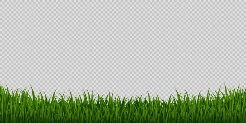 Realistic grass meadow, 3d frame or border