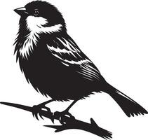Crisp and clear sparrow bird outline on white vector