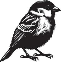Polished sparrow bird silhouette on blank background vector