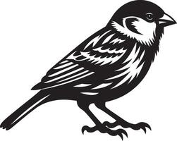 Spotless sparrow bird shadow illustration on plain backdrop vector