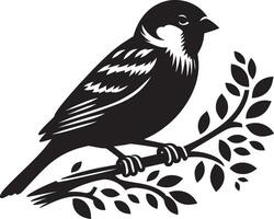 Direct sparrow bird silhouette on white background vector