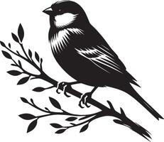 Dainty sparrow bird shadow on white vector