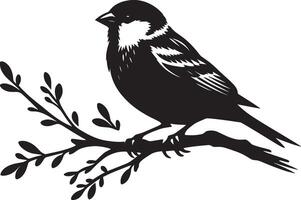 Clean sparrow bird contour on simple white backdrop vector