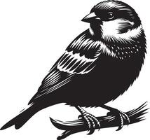 Clear sparrow bird silhouette illustration on white vector