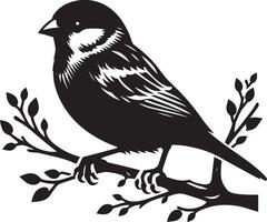 Bold sparrow bird shadow on white canvas vector
