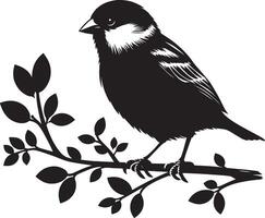 Gentle sparrow bird outline art on a blank setting vector