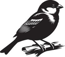 Crisp sparrow bird shape design on a clear background vector