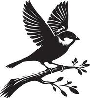 Unadorned sparrow bird outline against white vector