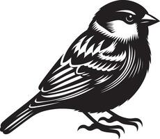 Pure sparrow bird contour illustration on white vector