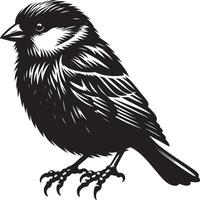 Delicate sparrow bird contour on white vector