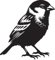 Unblemished sparrow bird shadow illustration on white background vector