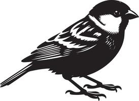 Pristine sparrow bird profile on clear white canvas vector