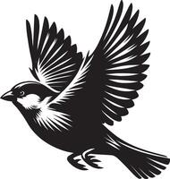 Spotless sparrow bird shadow illustration on plain backdrop vector