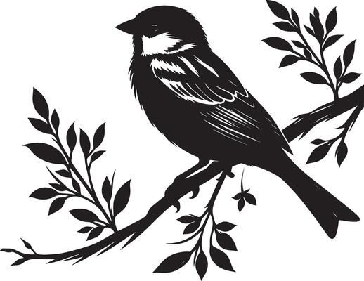 Dainty sparrow bird shadow on white