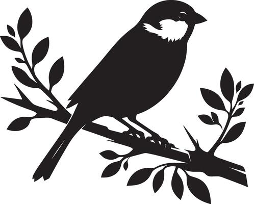 Clean sparrow bird contour on simple white backdrop