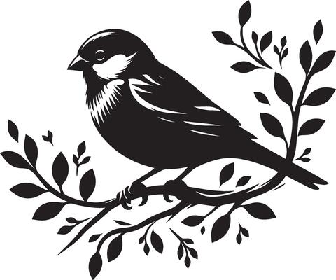Clear sparrow bird silhouette illustration on white