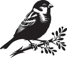 Bold sparrow bird shadow on white canvas vector