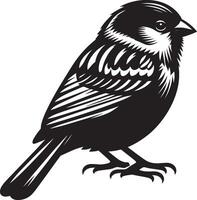 Vibrant sparrow bird shape on white background vector