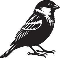 Classic sparrow bird silhouette illustration on plain backdrop vector