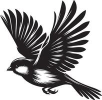 Radiant sparrow bird shadow on white canvas vector