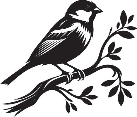 Majestic sparrow bird shadow illustration on clean white
