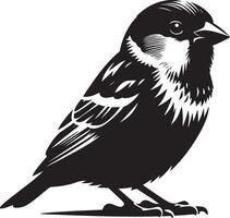 Serene sparrow bird outline on white canvas vector