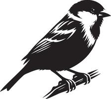 sparrow bird silhouette on a branch vector