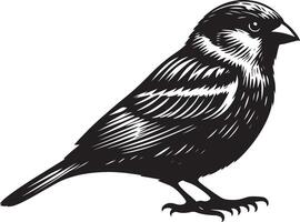 Striking sparrow bird profile illustration on plain background vector