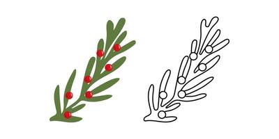 Christmas Tree branch with red berries. Winter seasonal coniferous sprig. Flat and outline style isolated illustration. vector